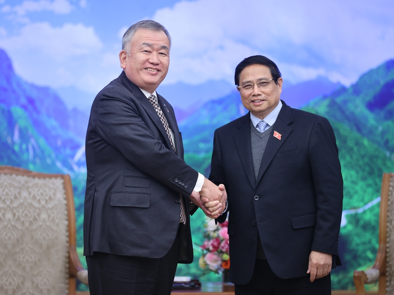 教练组的核