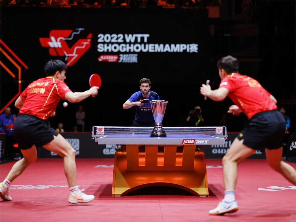 虽曾赴葡萄 虽曾赴葡萄